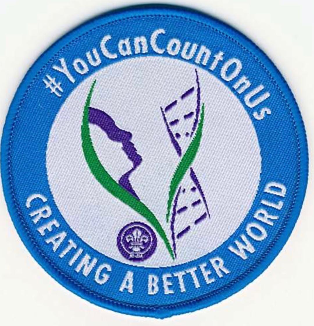 Creating A Better World Badge