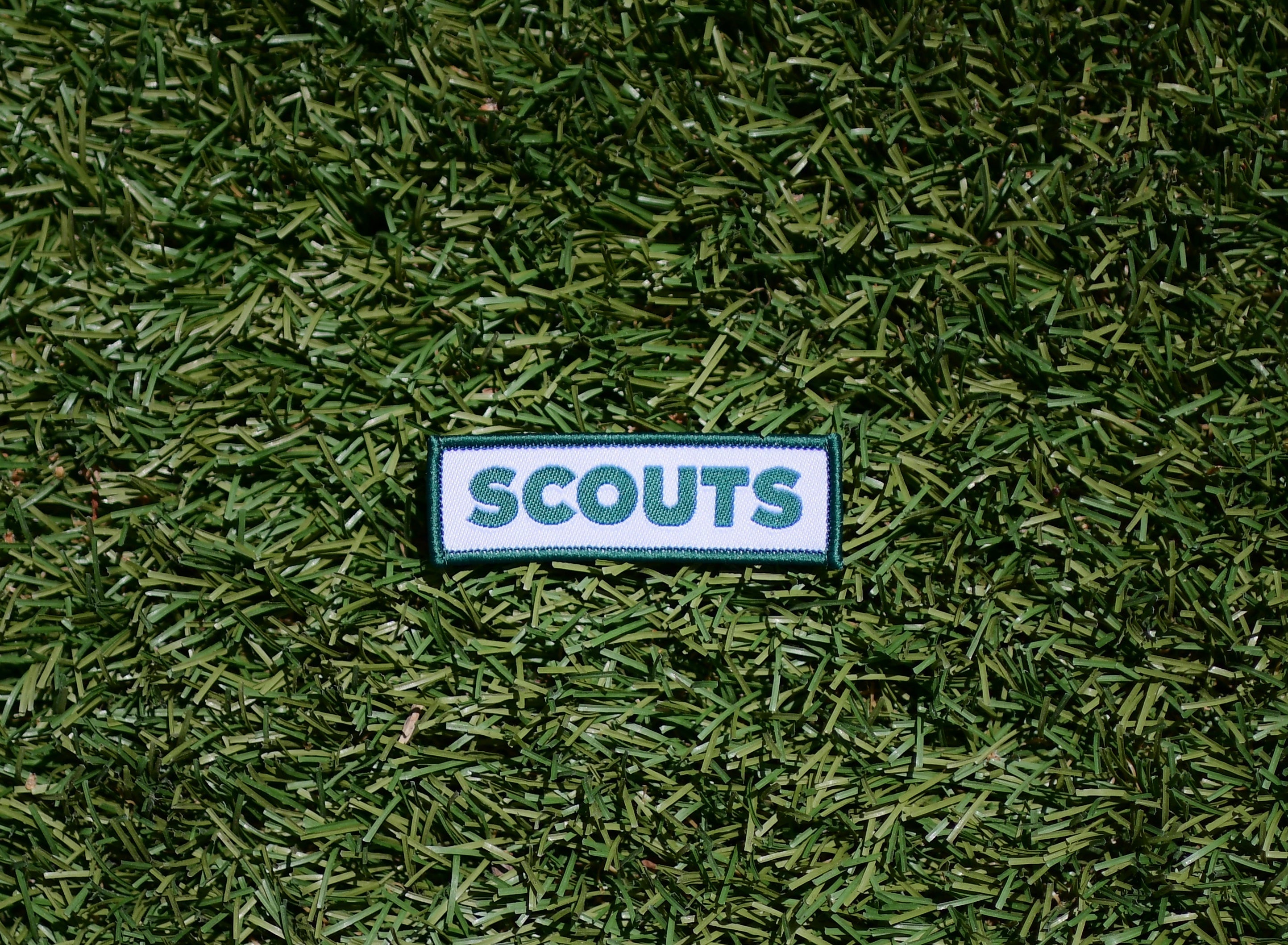 Scouts Section Badge