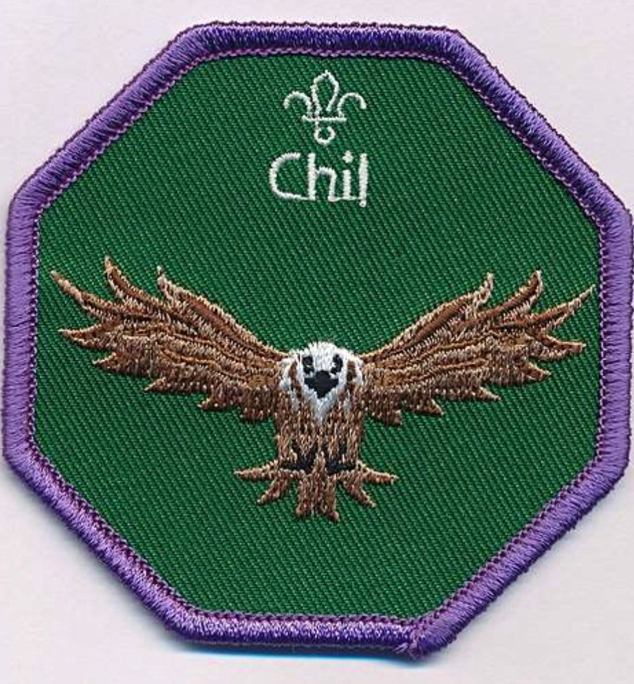 Chil Embroided Badge