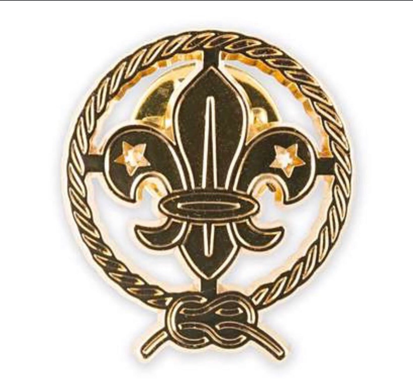 World Scout Recessed Pin