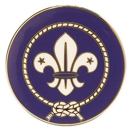World Scout Pin - Small 12 mm
