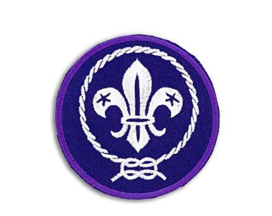 World Crest Scout Emblem